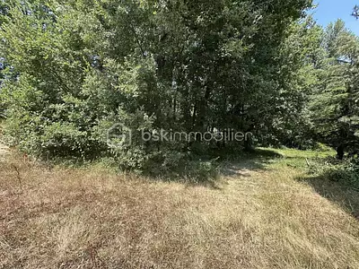 Terrain, 2 135 m²