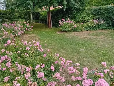 Appartement, 46,7 m²