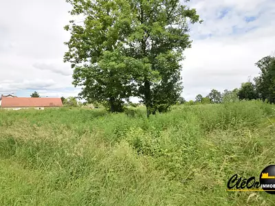 Terrain, 2 875 m²