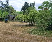 Terrain, 972 m²