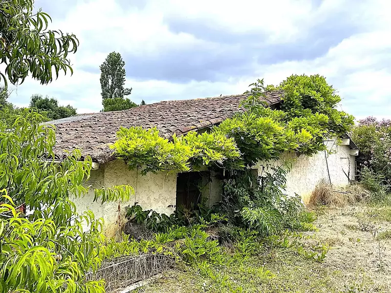 Maison, 236,7 m²