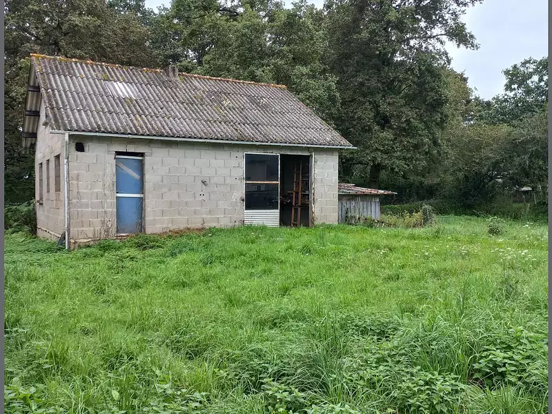 Immeuble, 75 m²