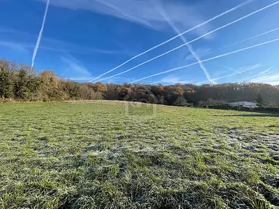 Terrain, 731 m²