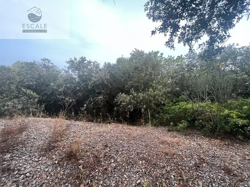 Terrain, 6 091 m²