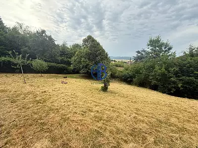 Terrain, 981 m²