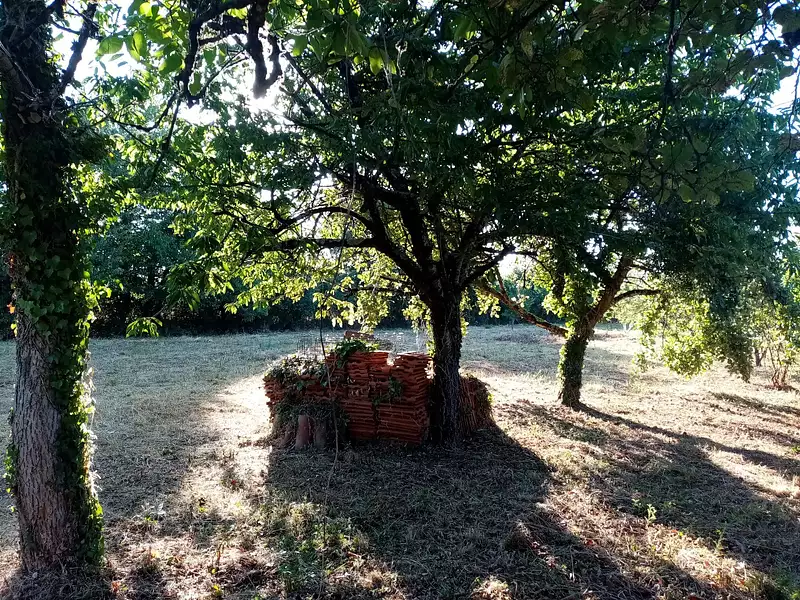 Terrain, 2 160 m²