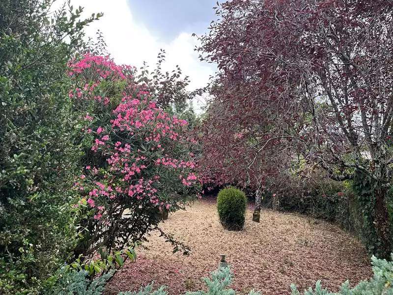 Maison, 83 m²