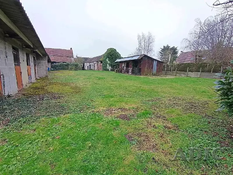 Terrain