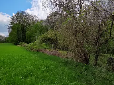 Terrain, 6 521 m²