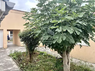 Appartement, 18,8 m²