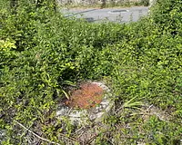 Terrain, 3 045 m²