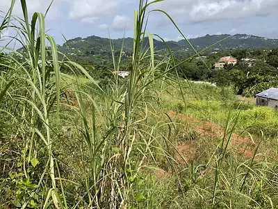 Terrain, 477,99 m²