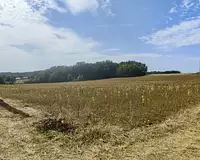 Terrain, 2 000 m²