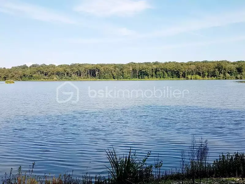 Terrain, 240 000 m²