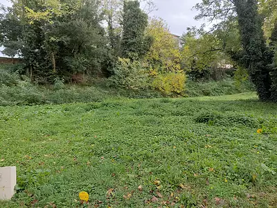 Terrain, 629 m²