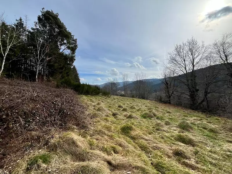 Terrain, 3 200 m²