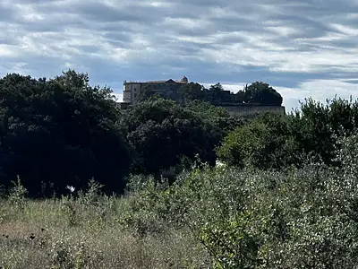 Terrain, 1 200 m²