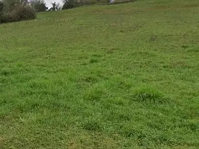 Terrain