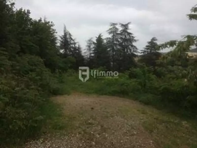 Terrain, 10 247 m²