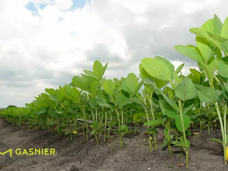 Divers, 5 070 000 m²