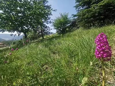 Terrain, 1 019 m²