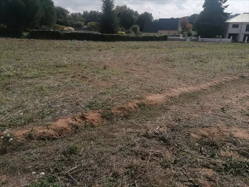 Terrain, 1 567 m²