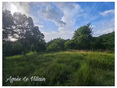 Terrain, 2 983 m²