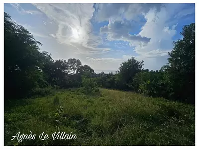 Terrain, 2 983 m²
