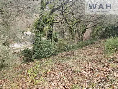 Terrain, 430 m²