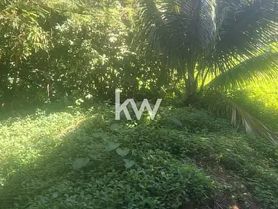 Terrain, 1 000 m²