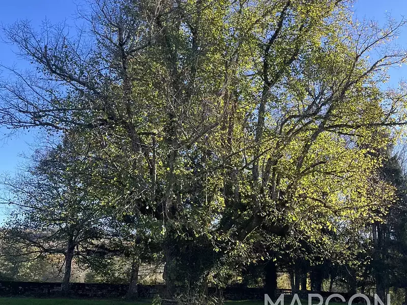 Maison, 166 m²