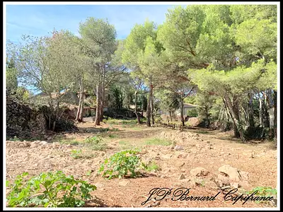 Terrain, 1 000 m²