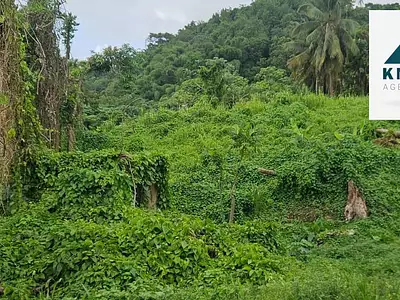 Terrain, 2 300 m²