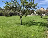 Terrain, 928 m²