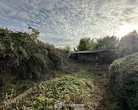 Terrain