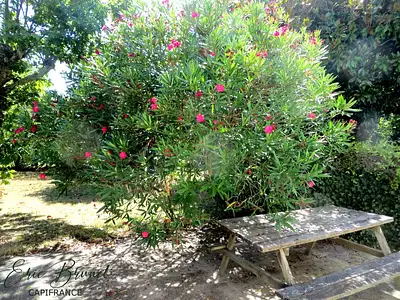 Maison, 96 m²