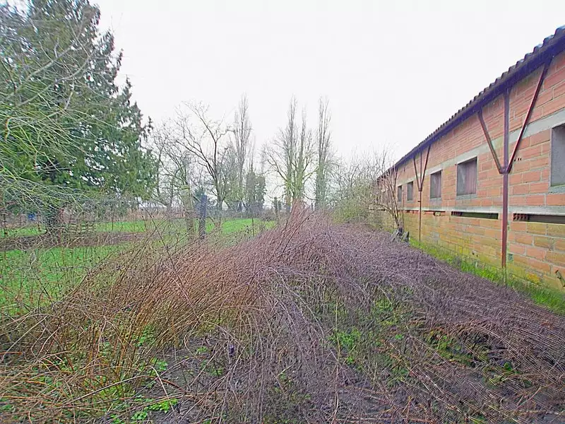 Maison, 260 m²