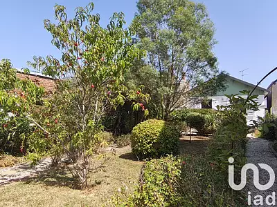 Maison, 55 m²