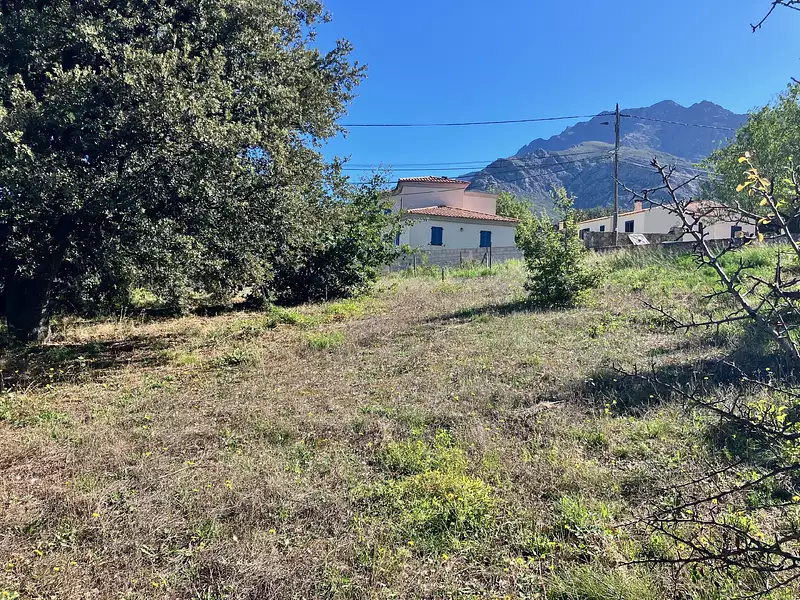 Terrain, 1 105 m²