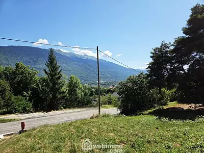 Terrain
