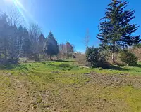 Terrain, 14 876 m²