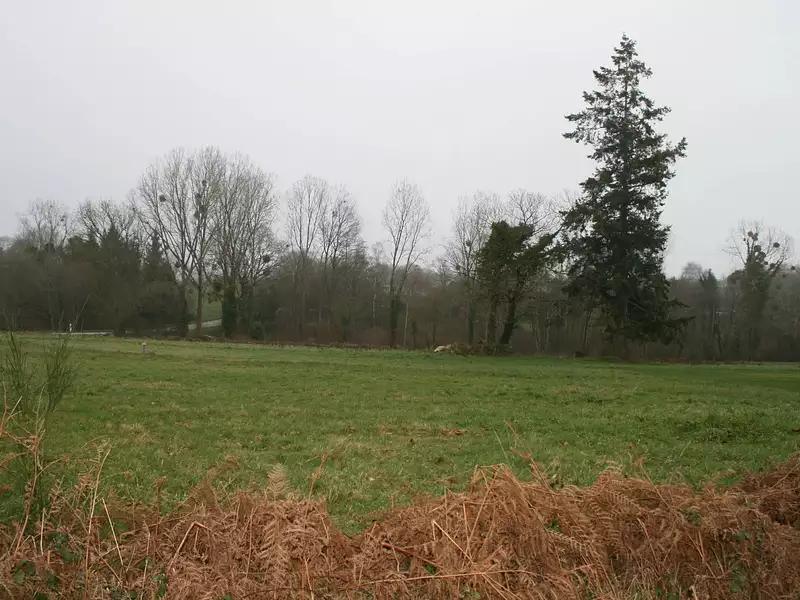 Terrain, 1 450 m²