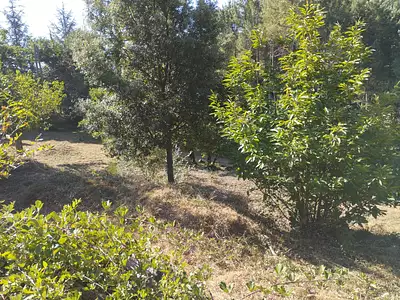 Terrain, 1 692 m²