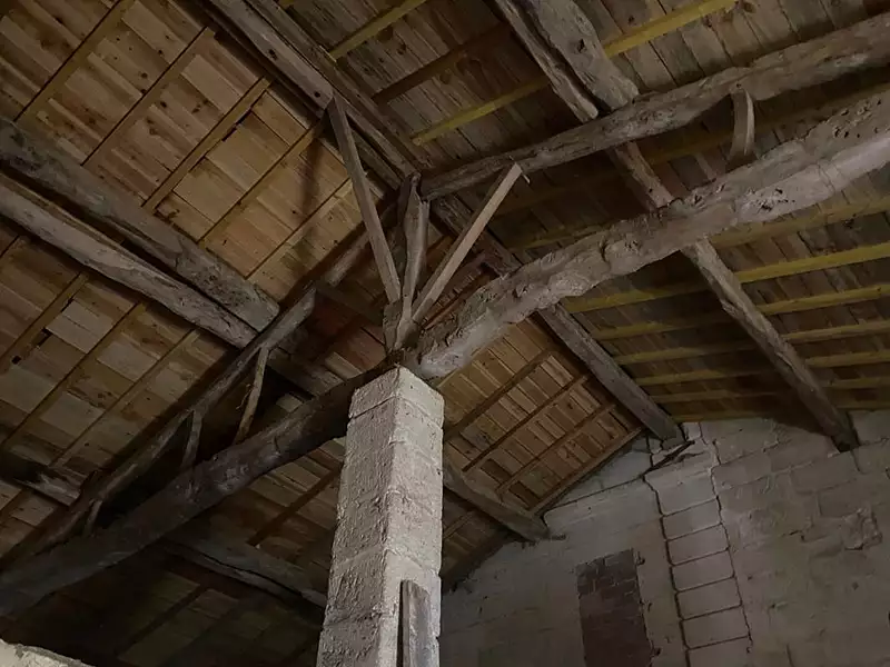 Maison, 300 m²