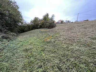 Terrain, 5 563 m²