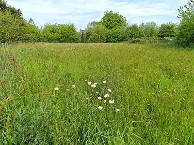 Terrain, 1 980 m²