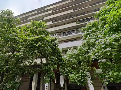 Appartement, 50,92 m²