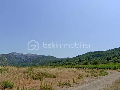 Terrain, 3 160 m²