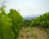 Terrain, 360 000 m²