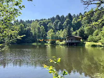 Maison, 50 m²
